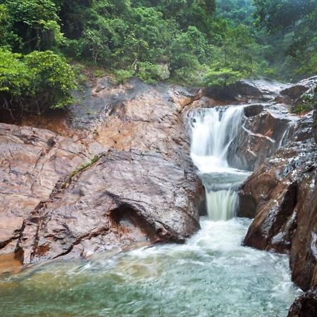 Jeroen'S Jungle View Apartment เกาะช้าง ภายนอก รูปภาพ