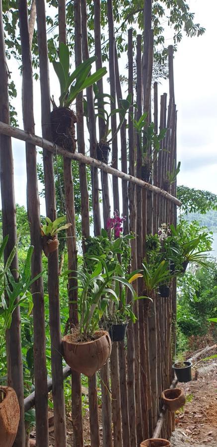 Jeroen'S Jungle View Apartment เกาะช้าง ภายนอก รูปภาพ